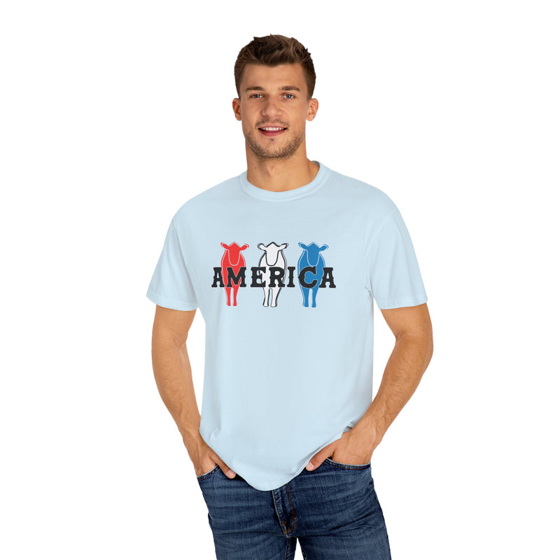 America RWB Beef Tee on CC