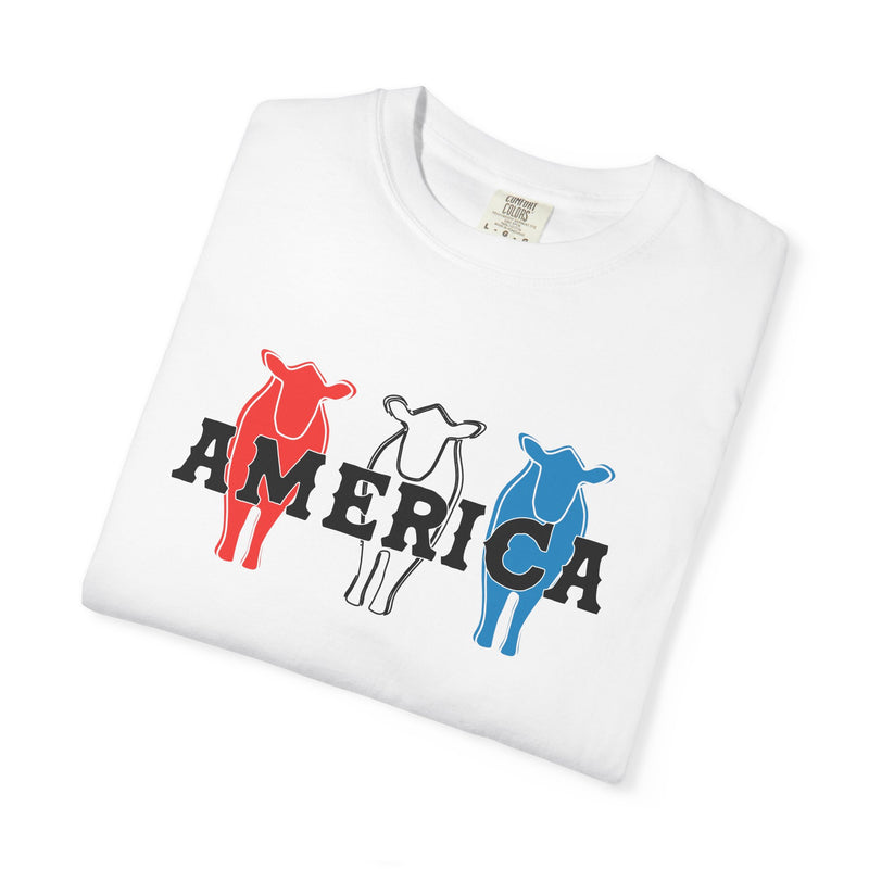 America RWB Beef Tee on CC