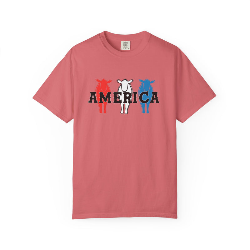 America RWB Beef Tee on CC