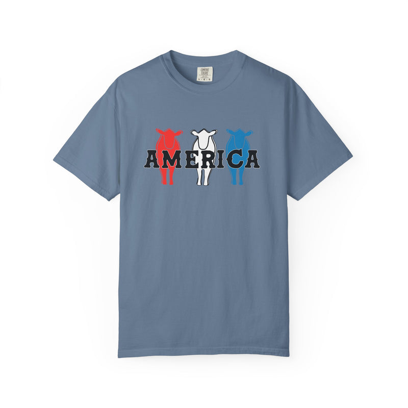 America RWB Beef Tee on CC