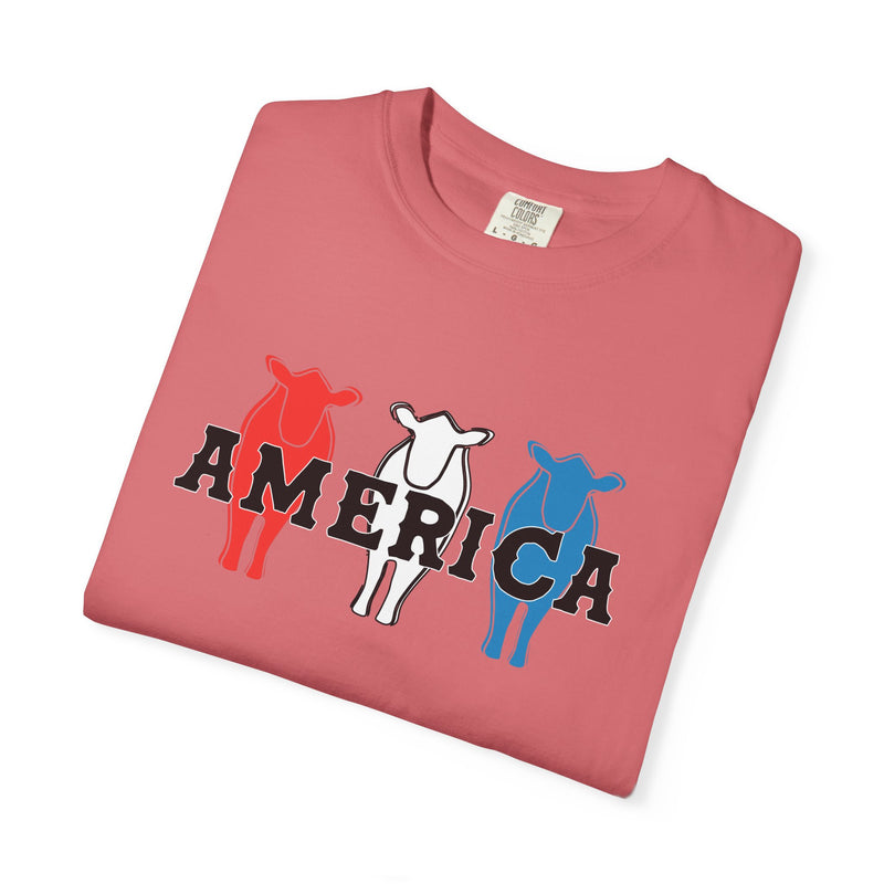 America RWB Beef Tee on CC