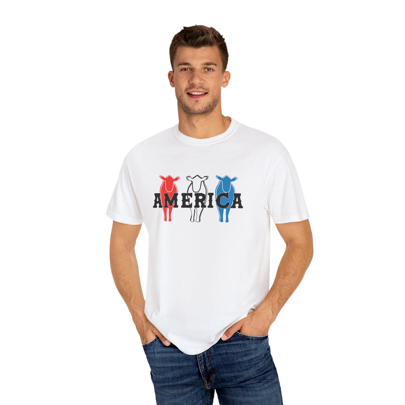 America RWB Beef Tee on CC
