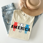 America RWB Beef Tee on CC