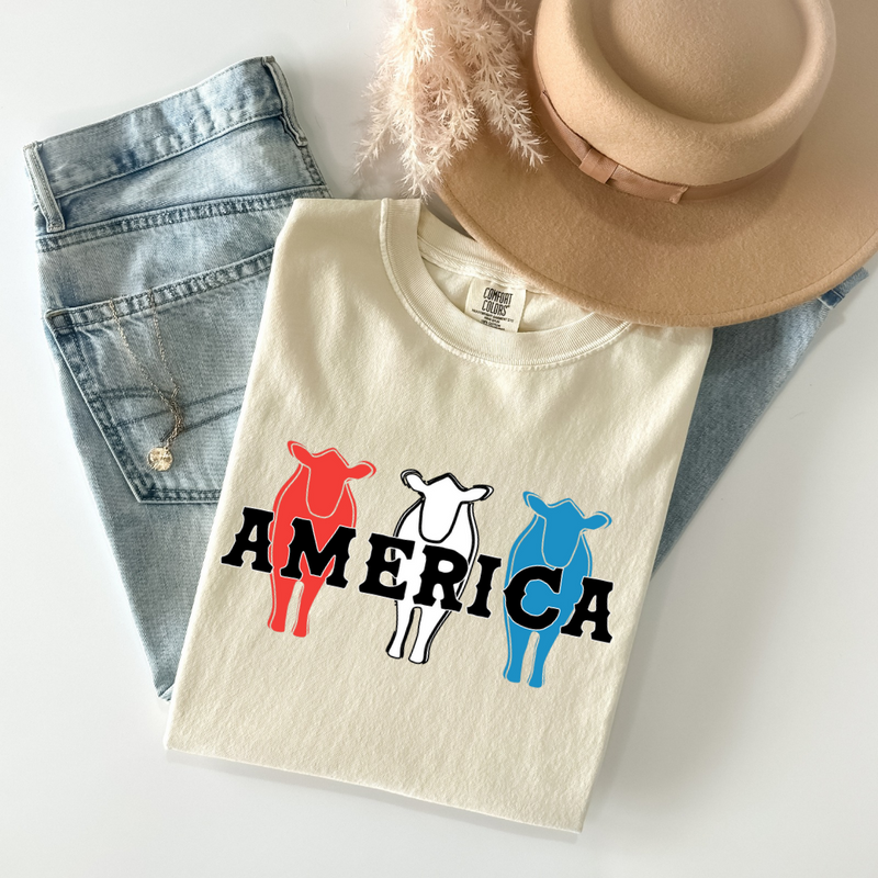 America RWB Beef Tee on CC