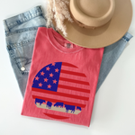 Flag + Beef Tee on CC